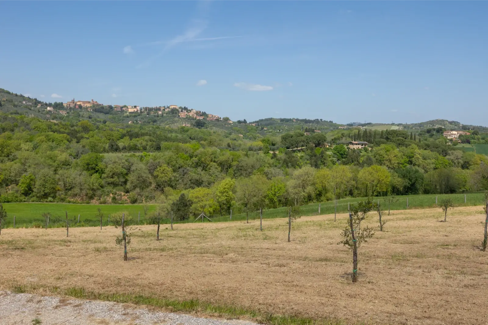 Alunno Immobiliare Real Estate Agency in Cortona for Tuscany and Umbria casale panicale jennifer
