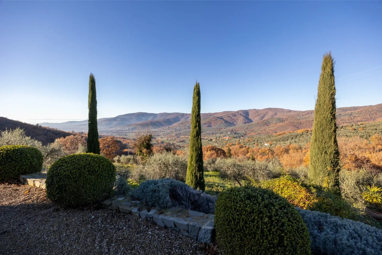 Alunno Immobiliare Real Estate Agency in Cortona for Tuscany and Umbria podere val di chio martine castiglion fiorentino cortona