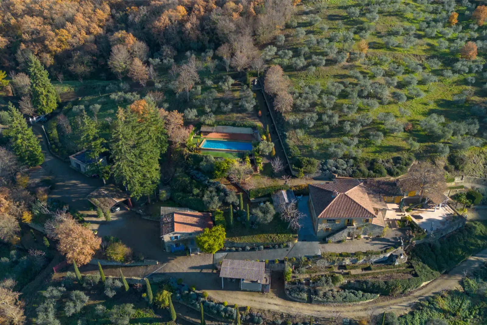 Alunno Immobiliare Real Estate Agency in Cortona for Tuscany and Umbria podere val di chio martine castiglion fiorentino cortona